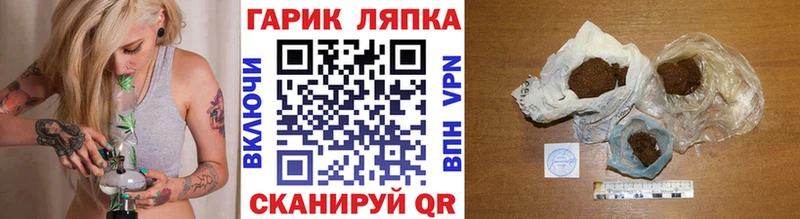 наркотики  Вязьма  ГАШ hashish 