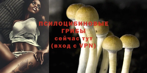 винт Баксан