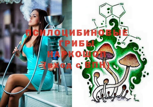 винт Баксан
